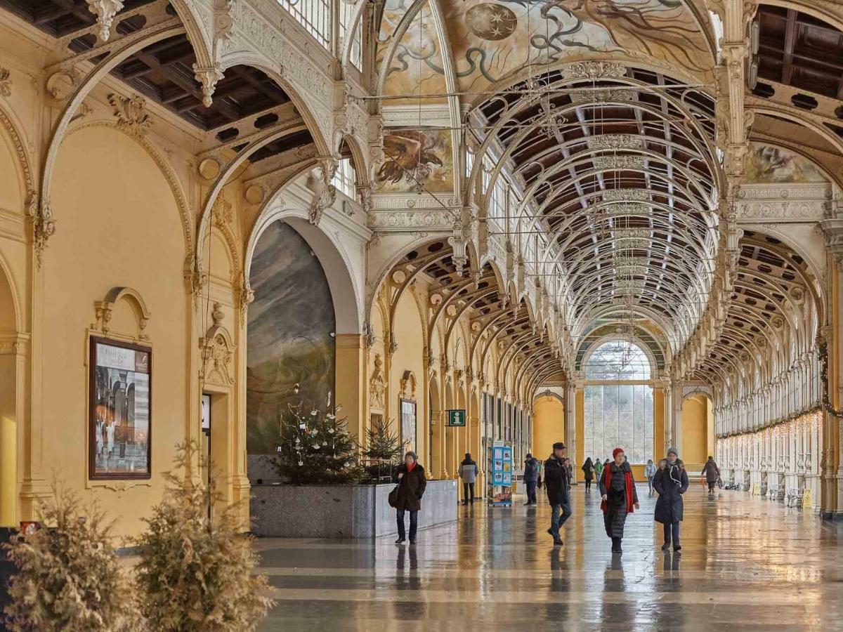 Apart House Plesia2 Mariańskie Łaźnie Zewnętrze zdjęcie